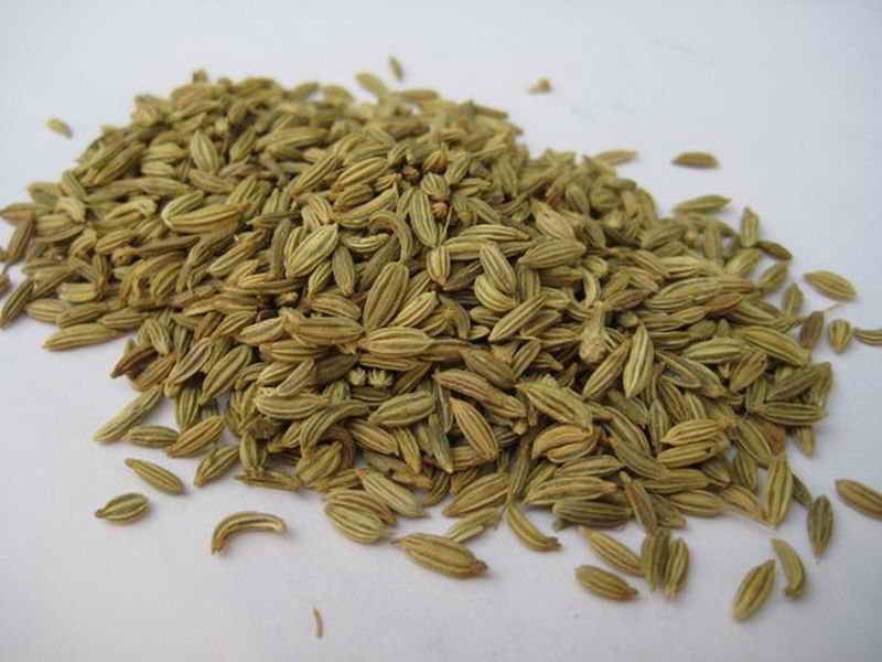 Graines de camomille