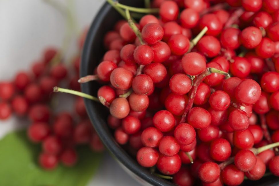 Baies de Schizandra chinensis