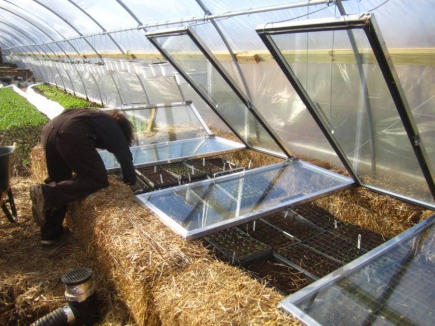 Chauffage biologique