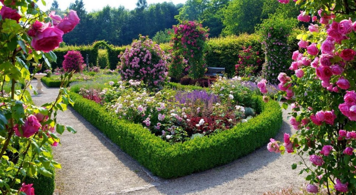 Bordure mixte insulaire