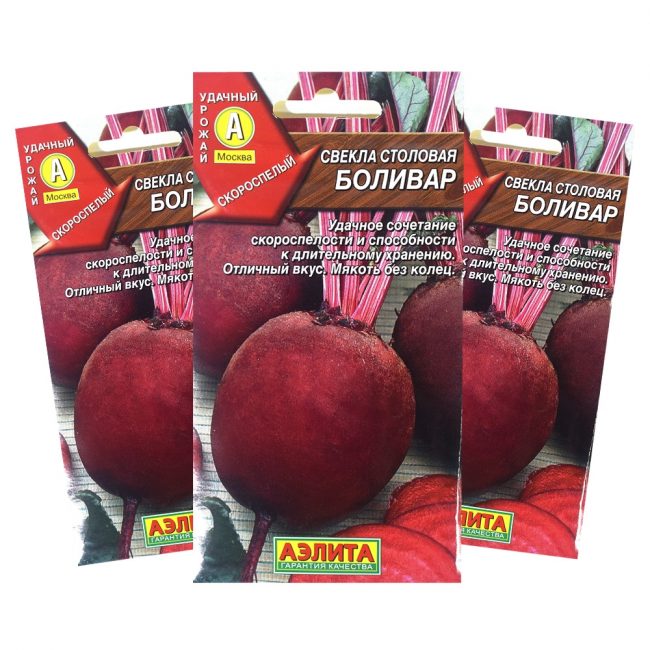 Variété de betterave Bolivar