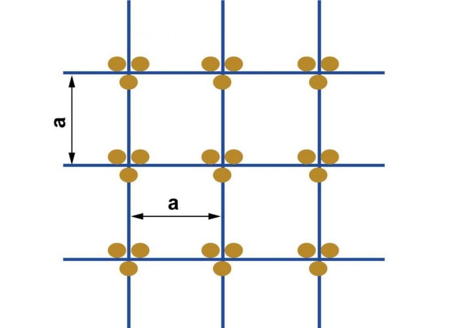 Schéma de plantation du maïs en nid carré