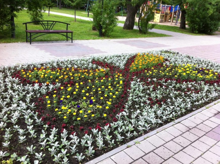 Conception de parterre de fleurs