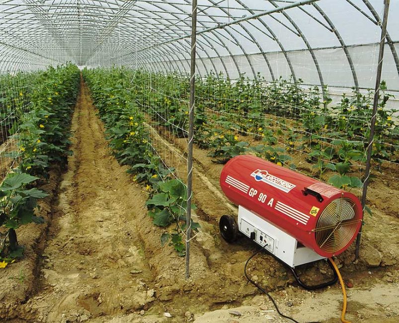 Pistolet à gaz thermique