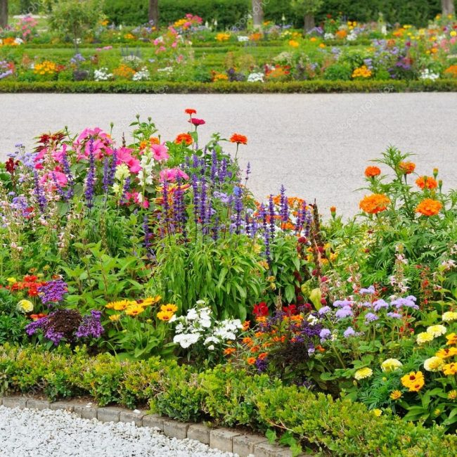 De beaux parterres de fleurs