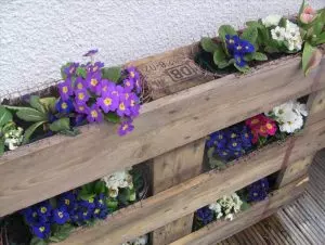 parterres de fleurs de palettes