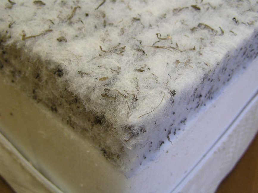 Me rappelle l'herbe qui pousse à partir de la base