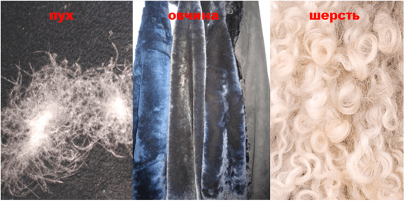 Rembourrages en laine animale et en duvet