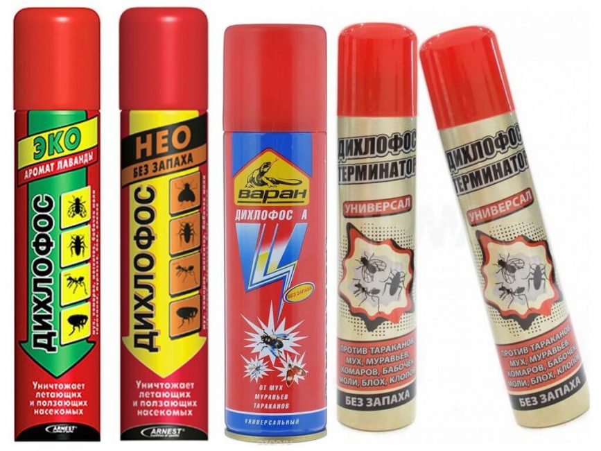 Signifie dans différentes versions