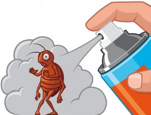 TOP 10 des meilleurs remèdes contre les cafards dans un appartement ou une maison privée (2019) + Avis