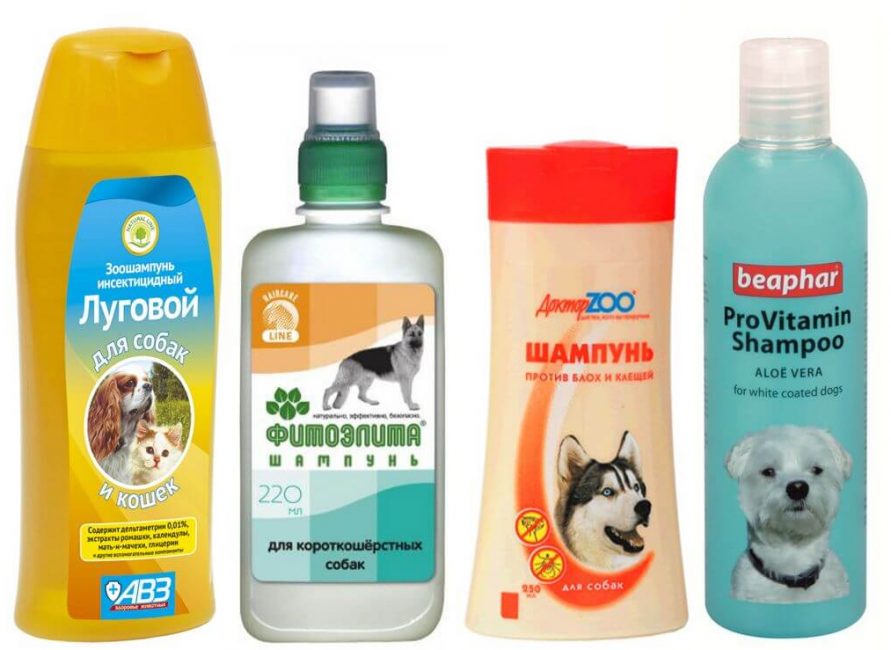 Comment choisir les meilleurs cosmétiques pour votre animal préféré ?