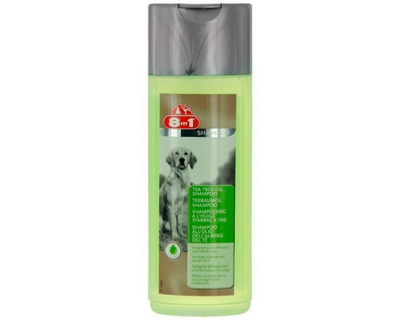 Shampoing 8 en 1 à l'huile d'arbre à thé