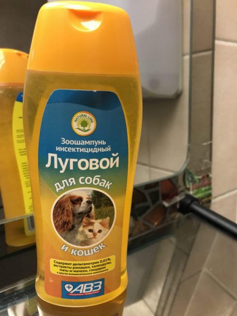 Insecticide Lugovoï