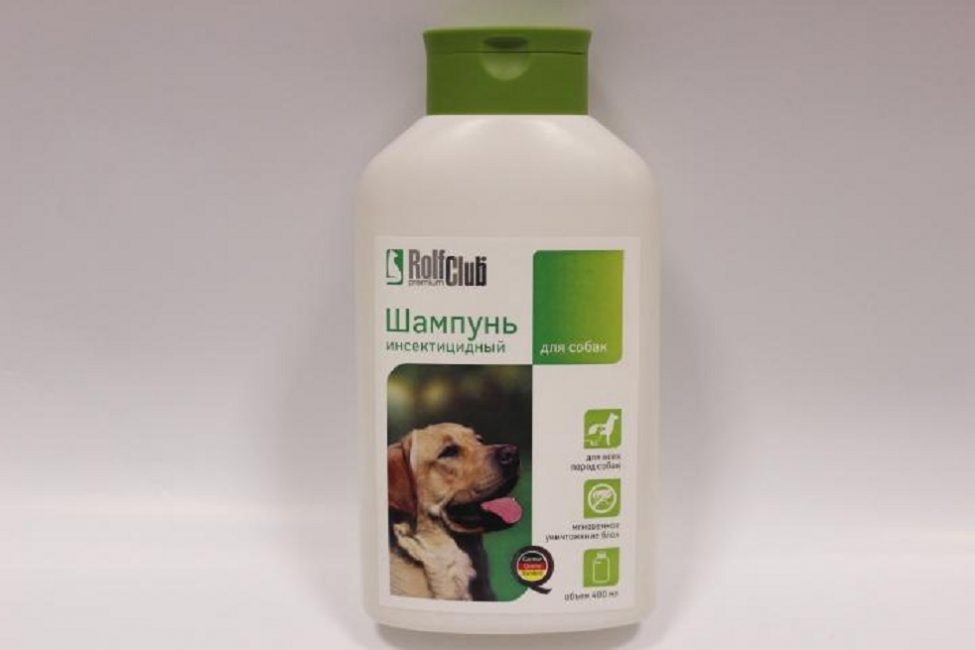 RolfClub pour les puces