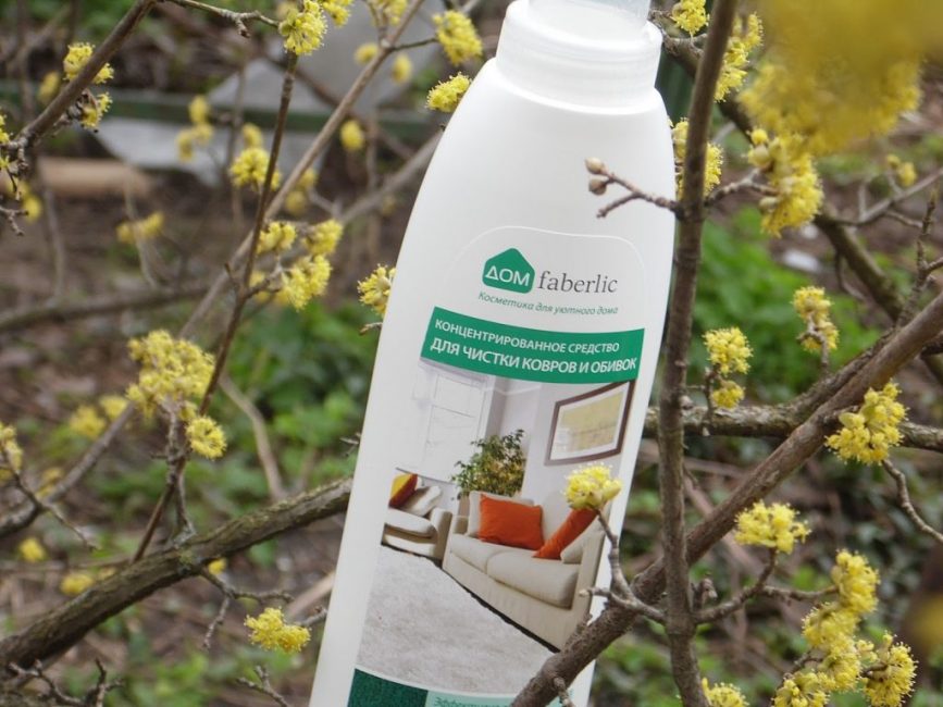 Nettoyeur de tapis Faberlic