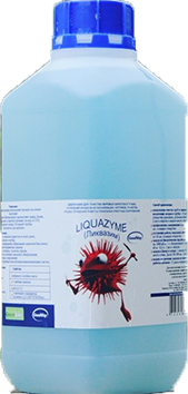 Les meilleures bactéries pour fosses septiques et puisards : TOP 10 des produits efficaces pour améliorer les performances des systèmes de traitement + Avis