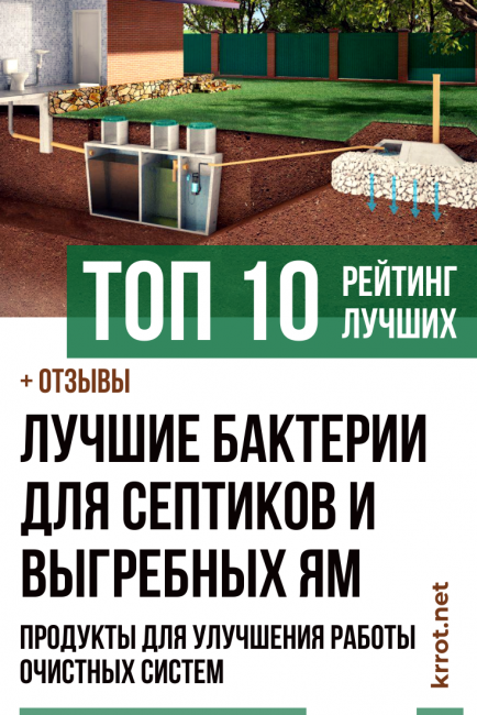Les meilleures bactéries pour les fosses septiques et les puisards