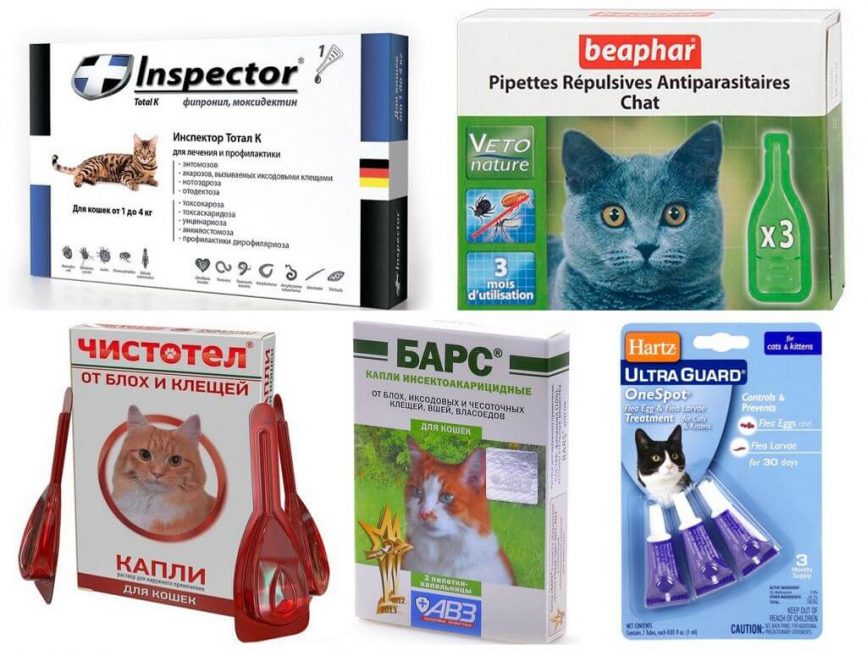 Moyens pour les animaux de tiques