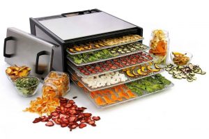 Séchoir à légumes et fruits : lequel est le meilleur ?