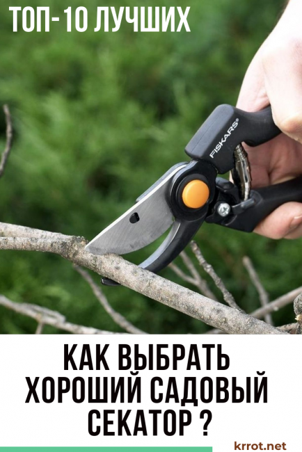 meilleur sécateur de jardin