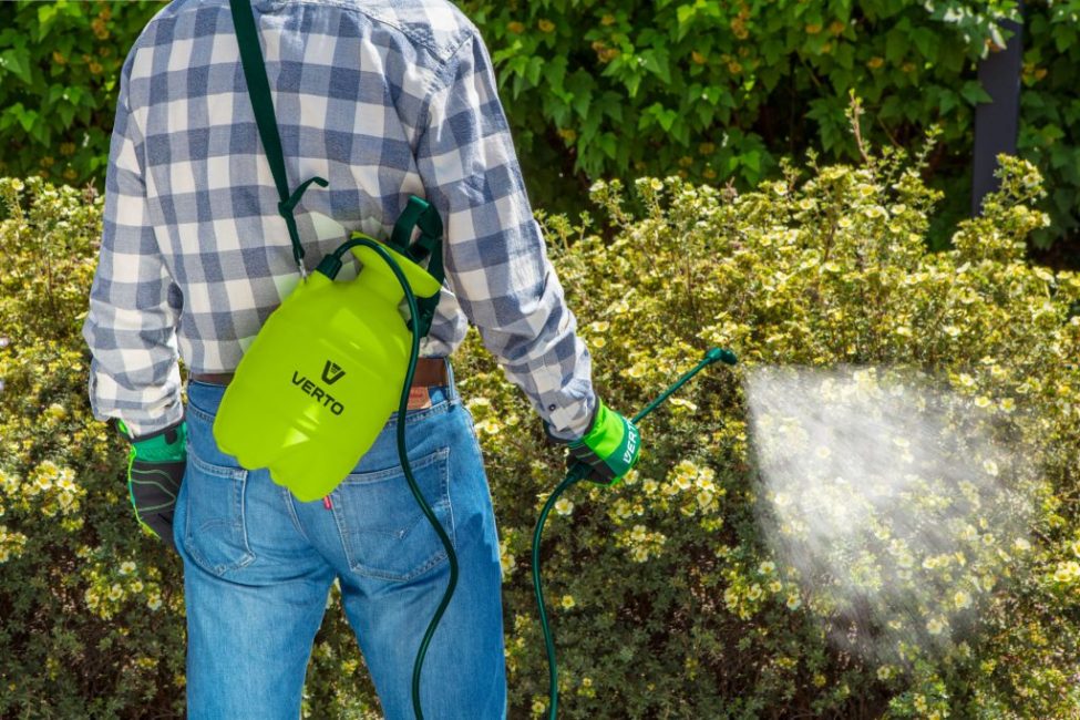 Pulvérisateur de jardin à pompe VERTO 15G504