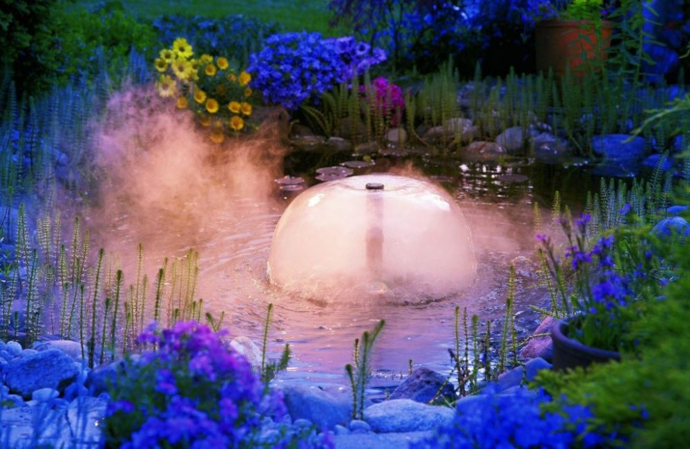 Comment décorer un étang à la campagne