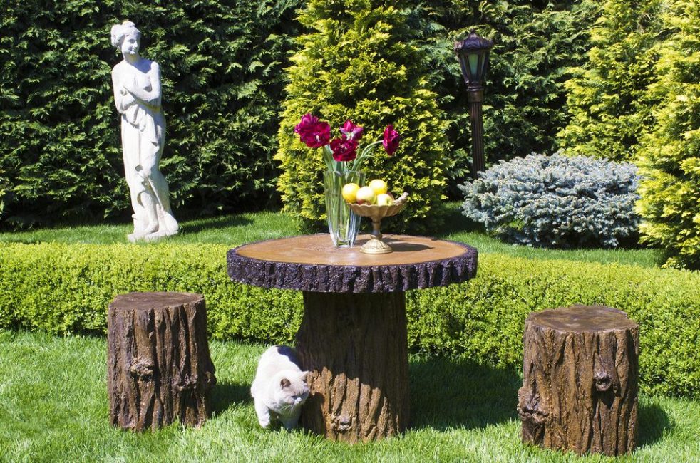 Chanvre d'un arbre abattu