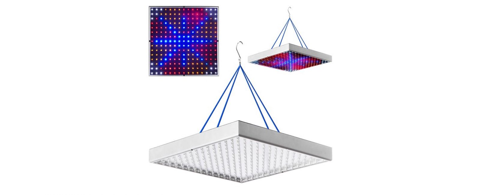 Les larges dimensions du phytopanel Optimum de Garden Show donnent un large champ de lumière