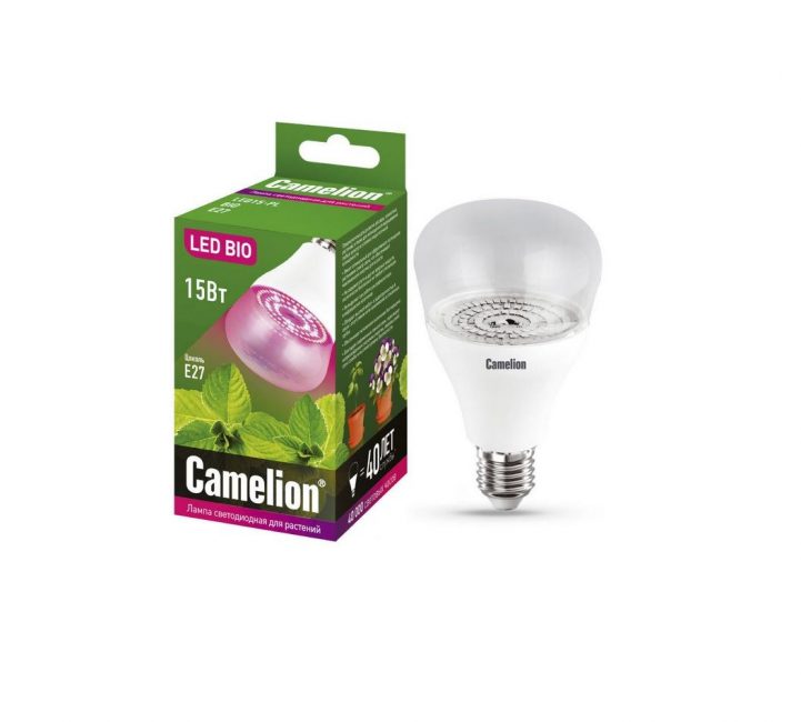 Camelion Phyto 15 W