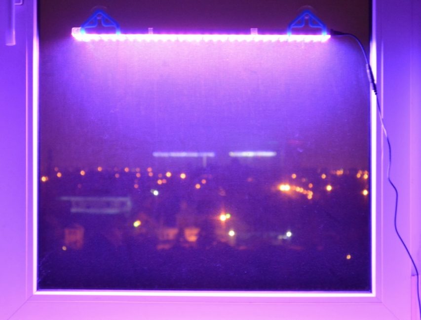 Possibilité de montage au-dessus du rebord de fenêtre lampe pour plantes Lira