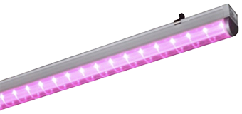 TOP 10 des meilleurs fitolamps pour la culture de semis et de plantes d'intérieur : choisissez lequel est le meilleur ?