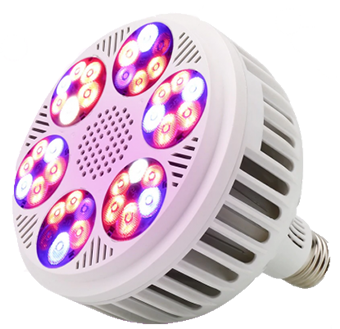 TOP 10 des meilleurs fitolamps pour la culture de semis et de plantes d'intérieur : choisissez lequel est le meilleur ?