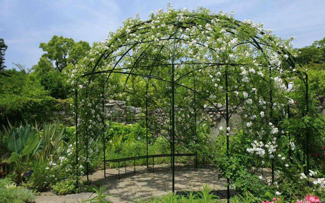 Fiabilité et simplicité