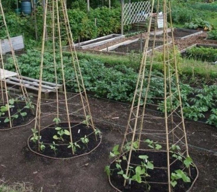 Jarretière avec bonnet