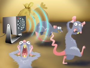 TOP 10 des meilleurs répulsifs à ultrasons pour souris et rats