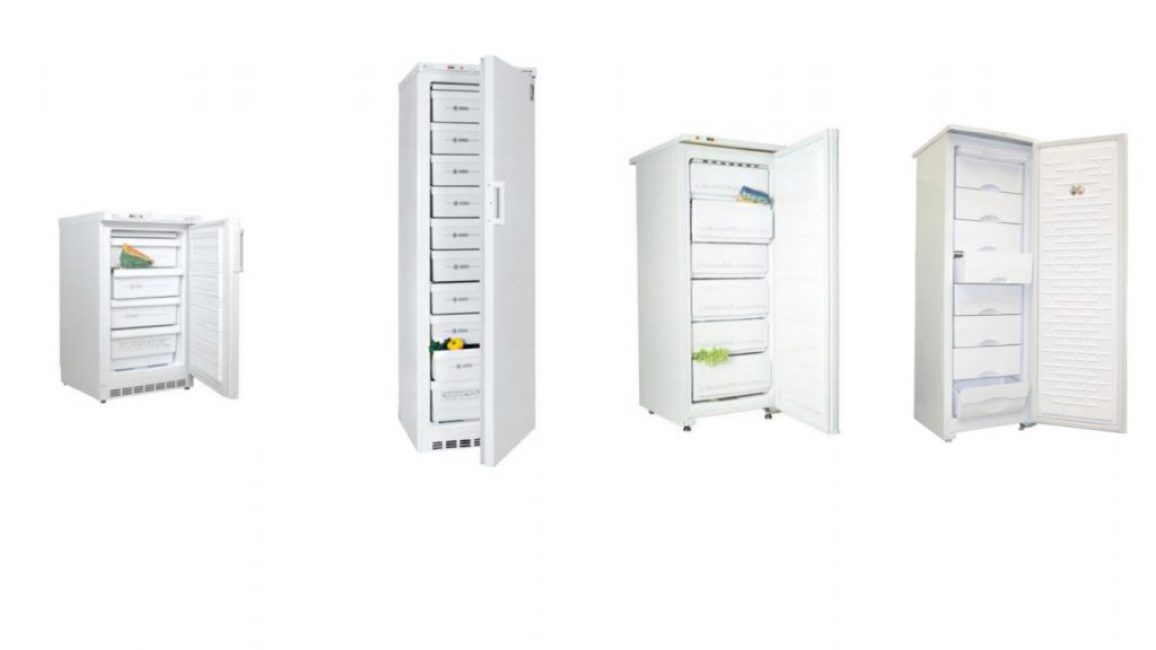 Lors du choix parmi des modèles de conception similaire, il est important de prêter attention aux caractéristiques techniques et aux caractéristiques de chaque congélateur.