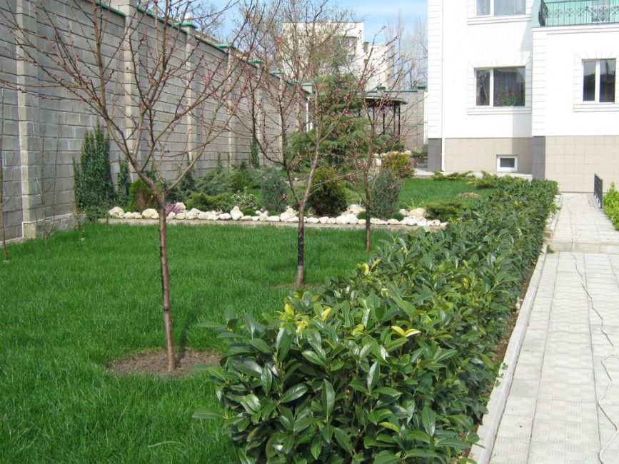 Les périodes de plantation varient selon la région et le type d'arbre.