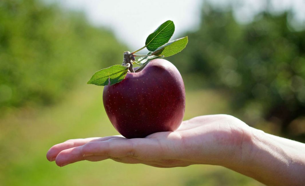 Les défauts sont inacceptables