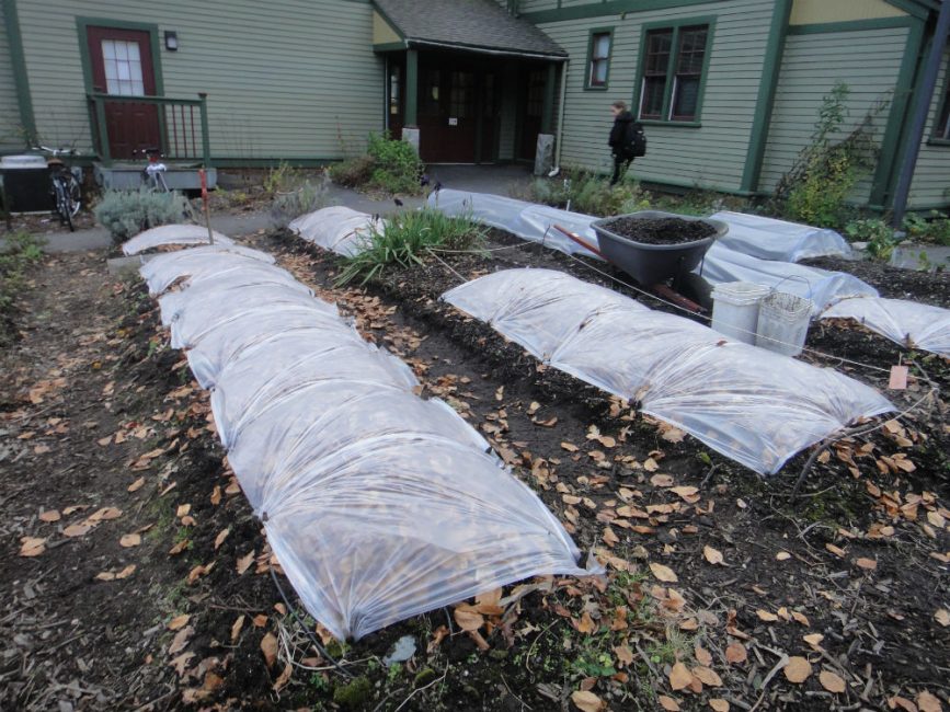 Au début du printemps, tout est recouvert de papier d'aluminium pour l'isolation.