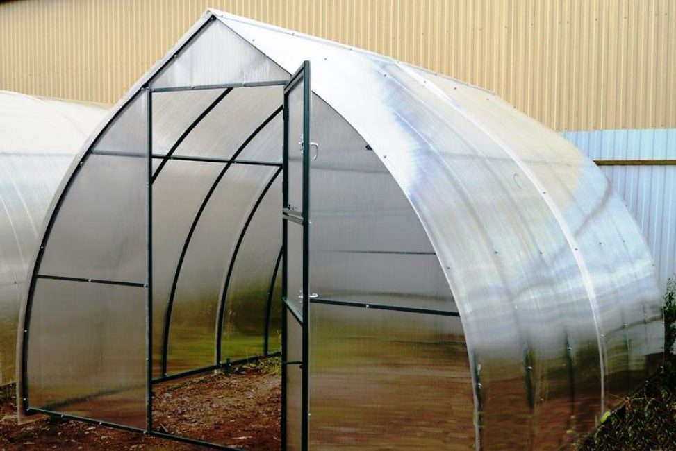 Serre Novator Kapelka