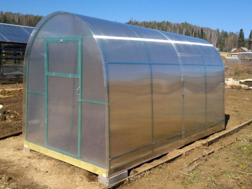 Serre TMKN Slava Perchik