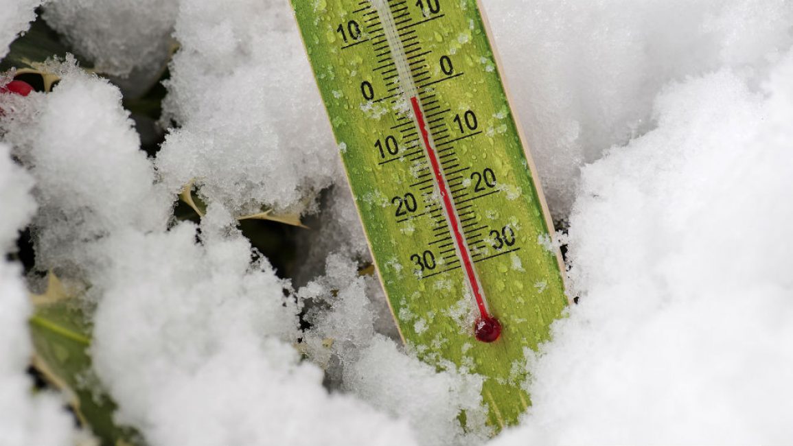 Des températures basses et une humidité insuffisante peuvent endommager