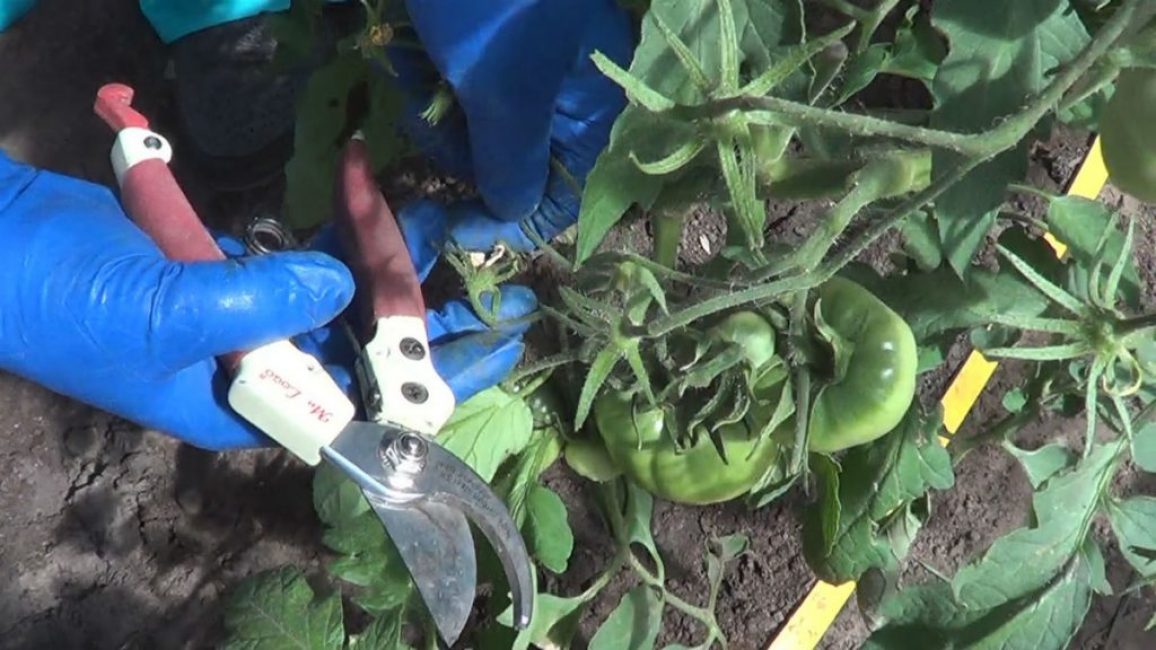 Mieux utiliser les outils