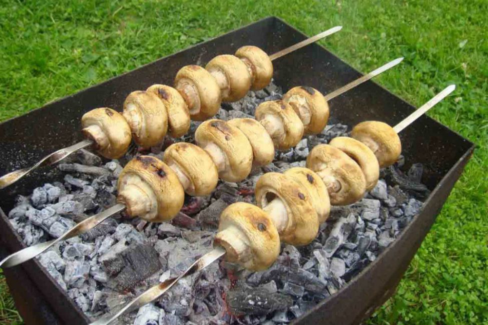 Brochettes de champignons