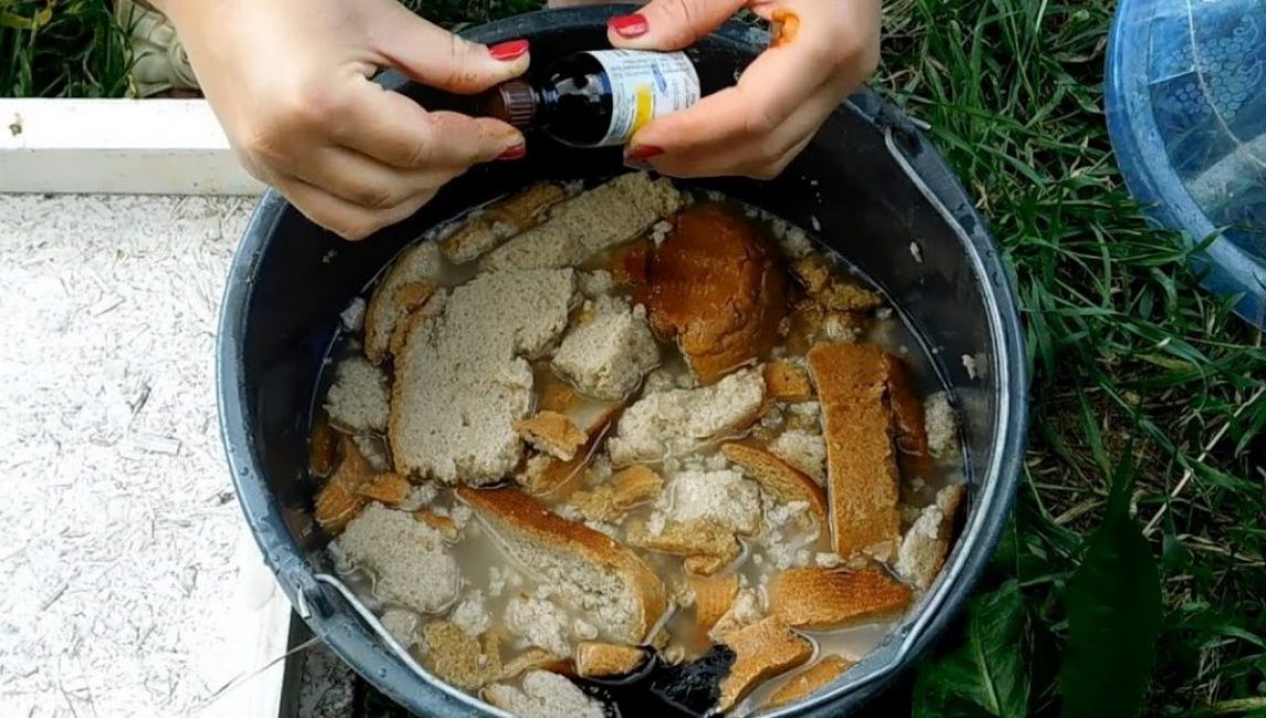 Préparation du repas de pain