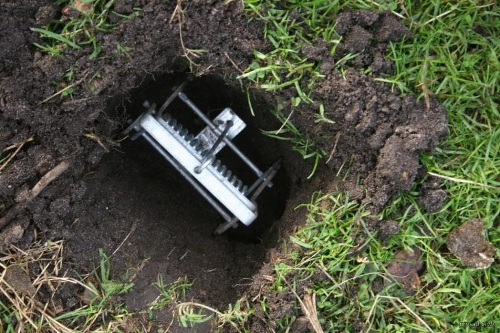 Piège dans un trou de ver