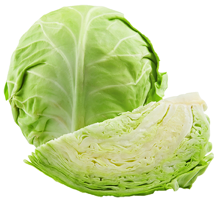 Quels légumes planter avant l'hiver ? TOP 8 des plantes les plus adaptées et leurs meilleures variétés