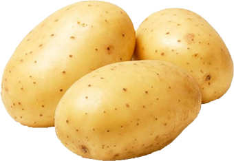 Quels légumes planter avant l'hiver ? TOP 8 des plantes les plus adaptées et leurs meilleures variétés