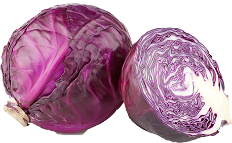 Quels légumes planter avant l'hiver ? TOP 8 des plantes les plus adaptées et leurs meilleures variétés