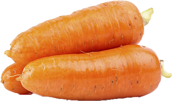 Quels légumes planter avant l'hiver ? TOP 8 des plantes les plus adaptées et leurs meilleures variétés